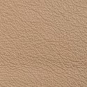 Earth leather swatch