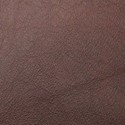 Maple leather swatch
