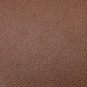 Chestnut leather swatch